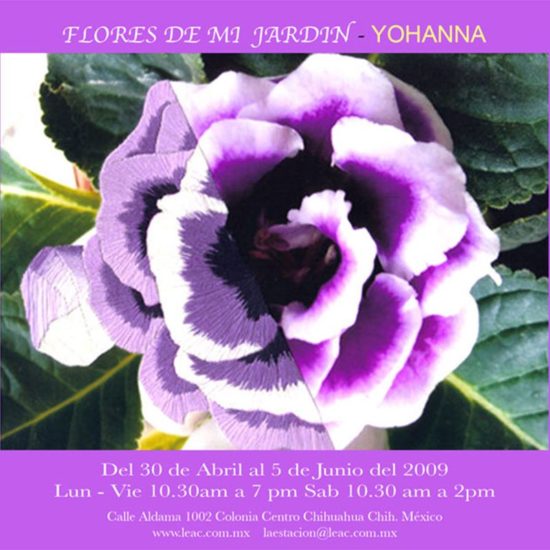 Johanna - Flores en mi Jardín 