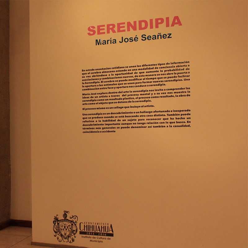 Maria Jose Seañez - Serendipia